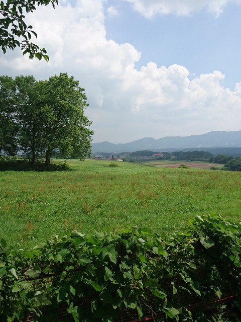 16-08-14-14-06-24-415_photo.jpg