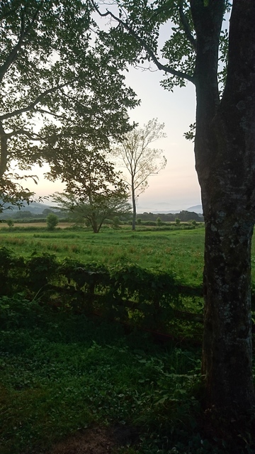 DSC_0067.jpg