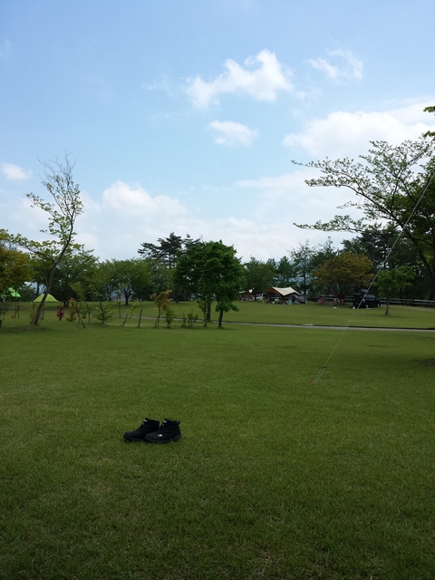 16-05-15-13-02-20-045_photo.jpg