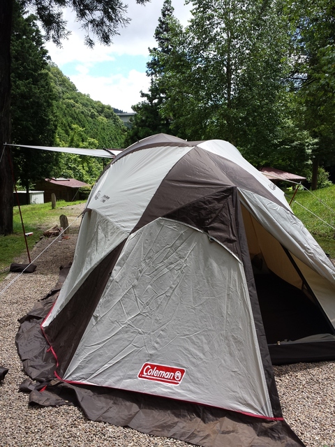 IMG_20160709_112339.jpg