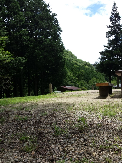 IMG_20160709_114659.jpg