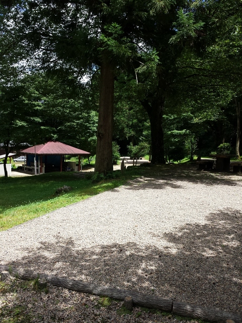 IMG_20160709_131256.jpg