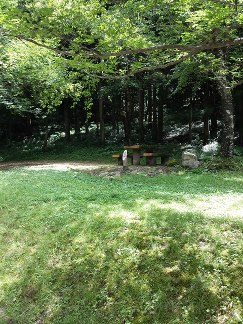 IMG_20160709_131303.jpg
