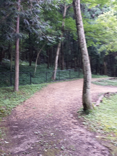 IMG_20160709_131425.jpg