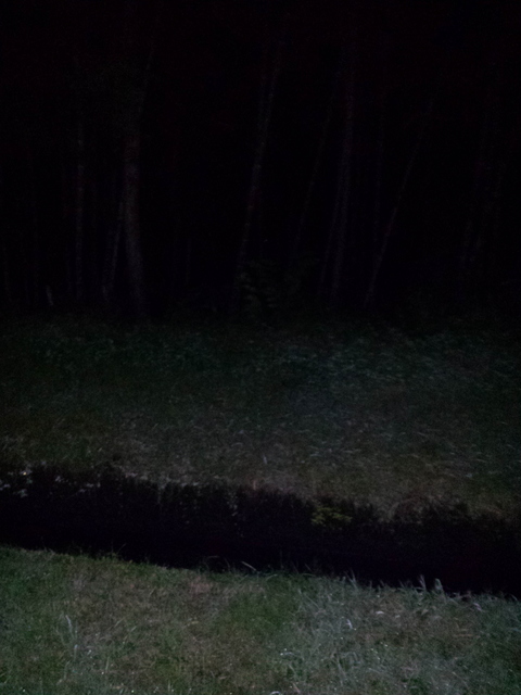 IMG_20160709_203306.jpg